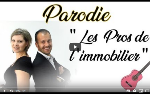 miniature Les pros de l'immobilier