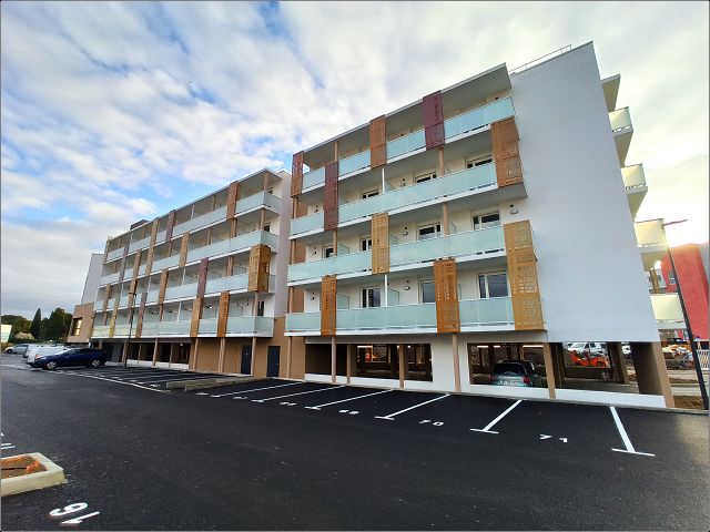 video image