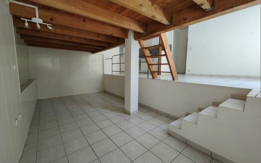 – ARELIUS – Appartement P2 à NIMES