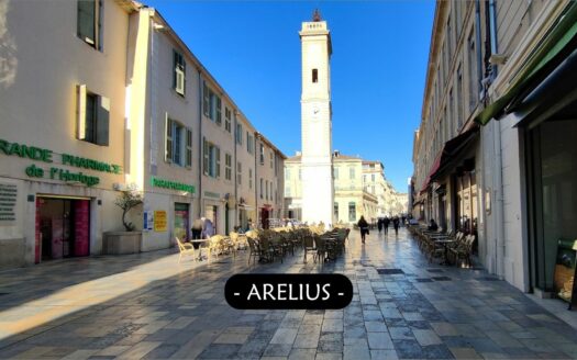 – ARELIUS – Appartement P2 à NIMES
