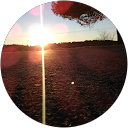 Photo de profil de Hans